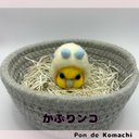 かぶりンコ【オカメインコ×セキセイインコ】