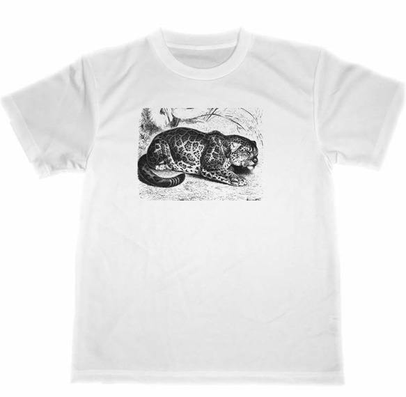 ジャガー　ドライ　Tシャツ　アニマル　動物　動物園　グッズ