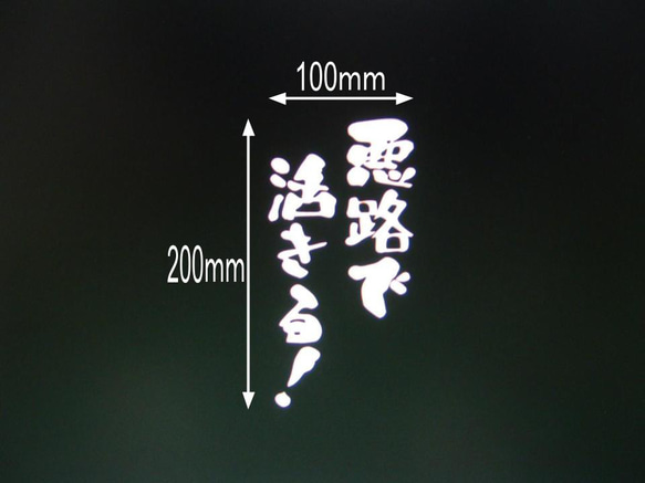 悪路で活きる！　カッティングステッカー
