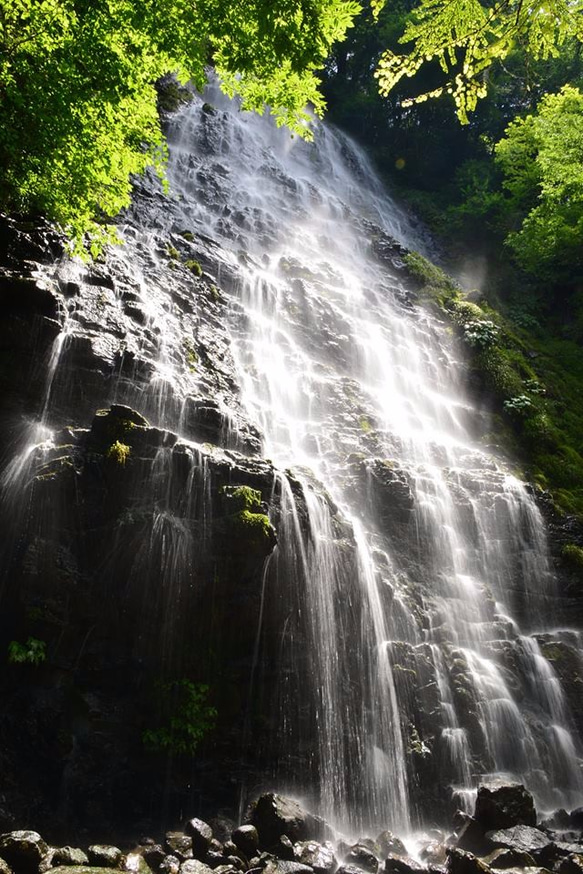 A4 写真　プリント　滝