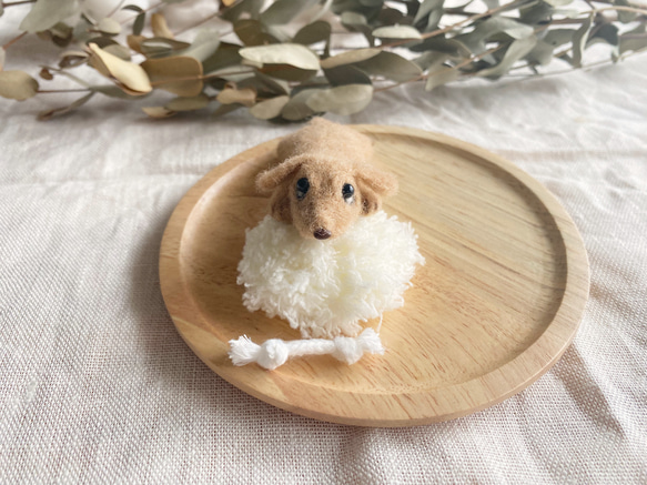 「ここに居るよ」羊毛フェルト犬　ミニチュアダックスフント　送料無料