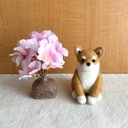 柴犬ちゃんのお花見 羊毛フェルト