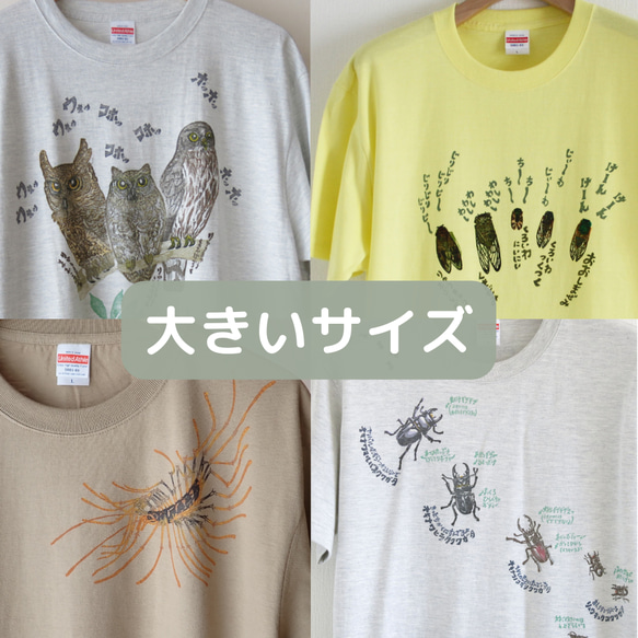 大きなサイズのTシャツ【セミ・クワガタ・ゲジ・ムカデ・ハゼ】