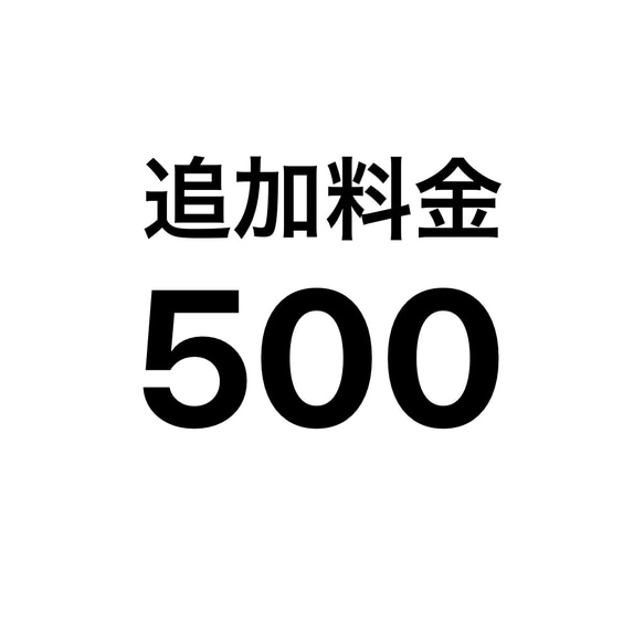 オーダーメイド追加料金