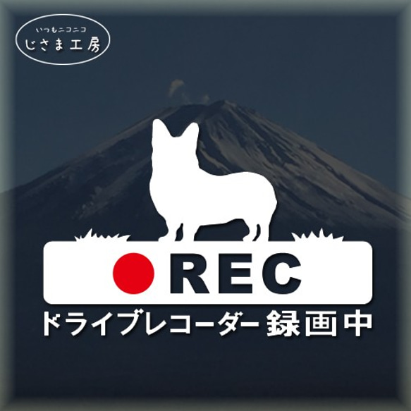 ウエルシュコーギーの白シルエットステッカー煽り運転防止!!ドライブレコーダー録画中