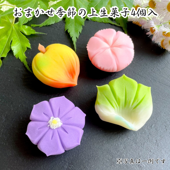 【送料無料】おまかせ季節の上生菓子4個入り 誕生日 プレゼント 贈答 ギフト 手土産 和菓子 練り切り 本格派 高級