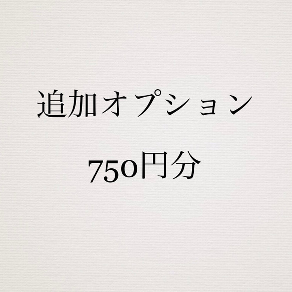 【追加オプション】『750円』