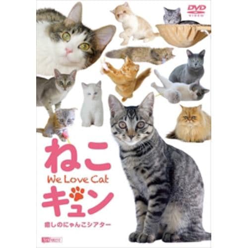 【DVD】 ねこキュン 癒しのにゃんこシアター We Love Cat