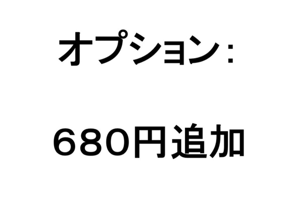 追加料金ページ： 680円