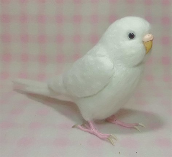 ライフサイズ♪ セキセイインコ アルビノ（濃い赤目） 羊毛フェルト　目・鼻の色変更可能　受注作成　羊毛インコ