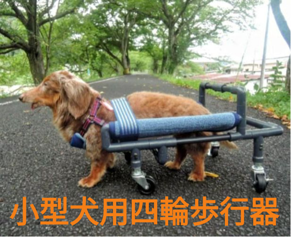 犬の４輪歩行器、小型犬歩行器（シートタイプ）