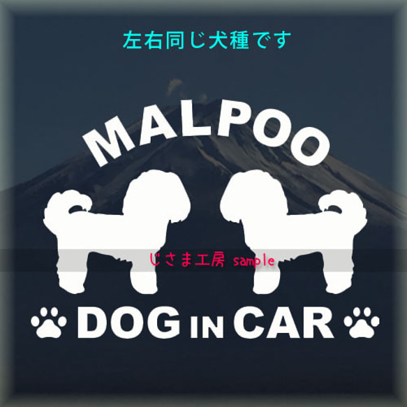 【同一犬種】　かわいい愛犬2頭飼い『Dog　in　Car』シルエットステッカー