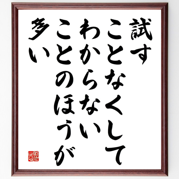 名言「試すことなくして、わからないことのほうが多い」額付き書道色紙／受注後直筆（V5196)