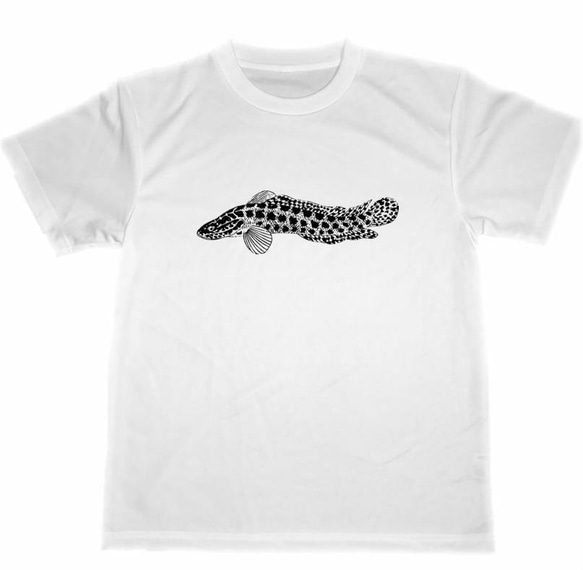 雷魚　ドライ　Tシャツ　ライギョ　釣り　フィッシング　グッズ　ナマズ　鯰　グッズ