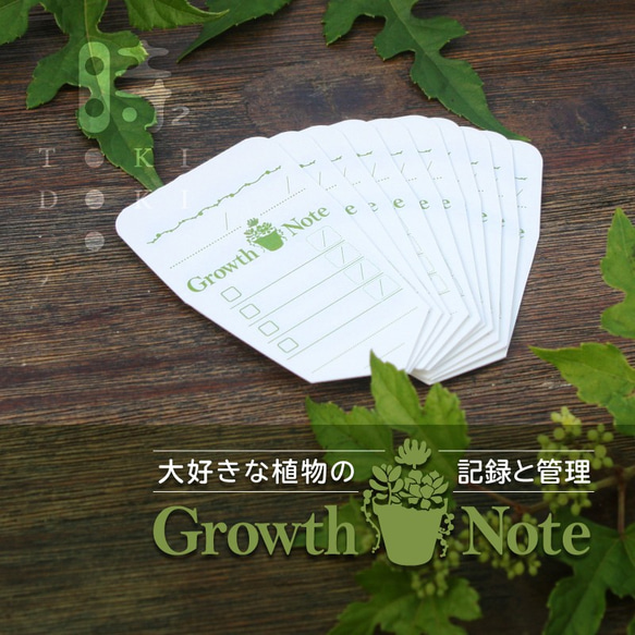 植物の成長を記録し可愛く管理するメモラベル！Growth Note/育成ノート S/10枚入り〈フラワーラベル〉多肉植物