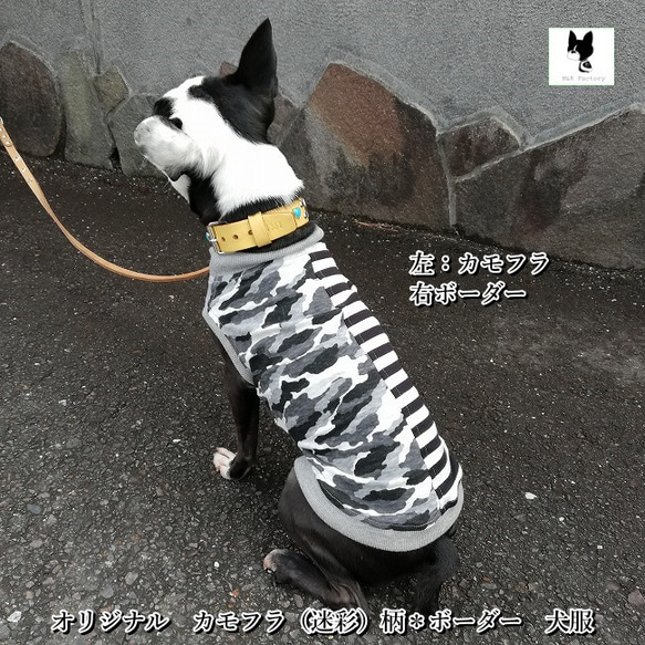 多頭飼いに・アシンメトリーシリーズ・カモフラ（迷彩）柄＊ボーダー犬服2410　#ボストンテリア #フレンチブルドッグ