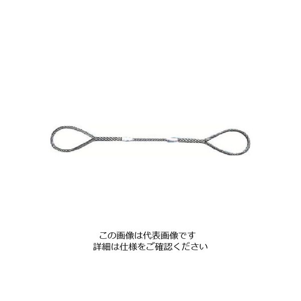 日興製綱 ニッコウ Wスリング（裸） 全長3.0m スリング径9mm W9-3H 1セット（10本） 815-7417（直送品）