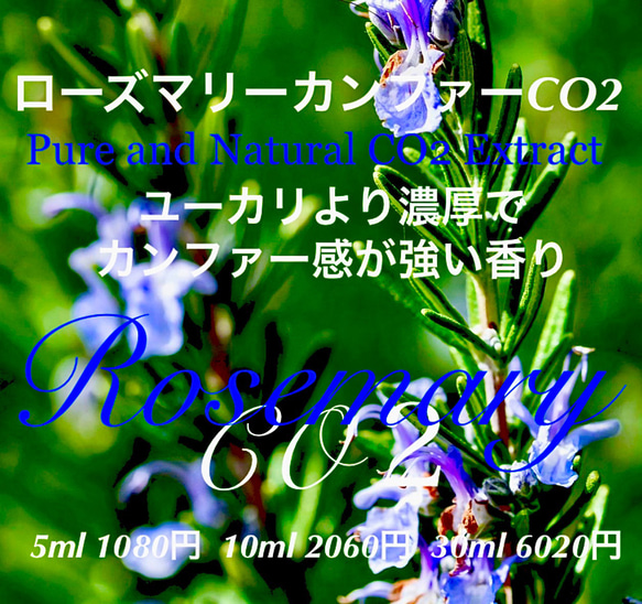 【ユーカリ様の強い香り】ローズマリーカンファーCO2エクストラクト5ml