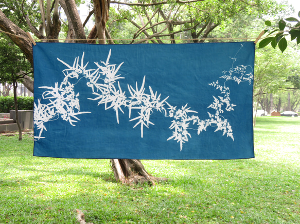 サイアノタイプ デコレーション - Haijinsha Botanic Cyanotype デコレーション - 日本の登山