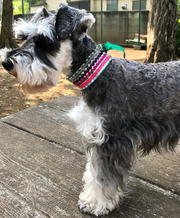 Ribboned Choker