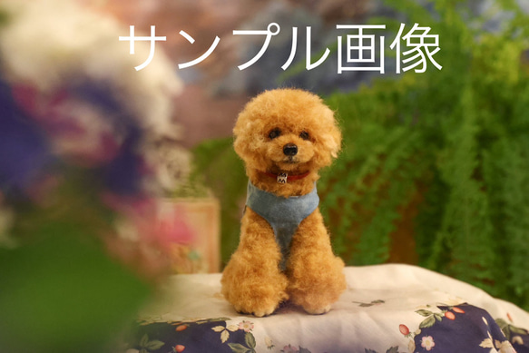 【羊毛とプー】 羊毛フェルト　オーダーメイド　ハンドメイド　愛犬　プードル　リアル　ふわふわ　かわいい　うちの子　セール