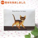 猫 障害者手帳カバー（東京都サイズ） ソフトタイプアビシニアン イラスト B