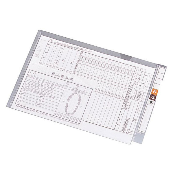 リヒトラブ カルテフォルダー フラップ付シングル横型 B5 100枚 FC64982-HK2005