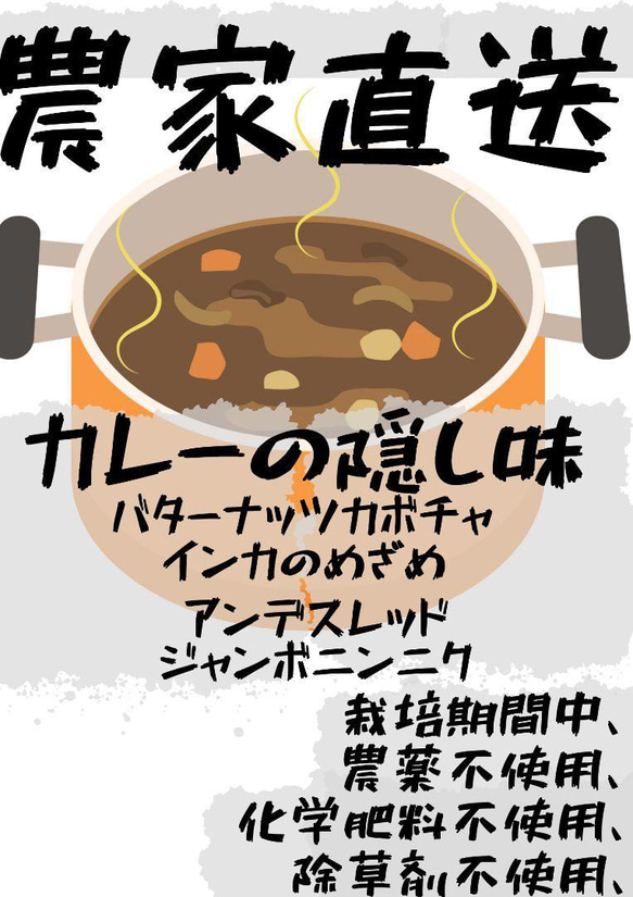 [農家直送]カレーの隠し味食材３ｋｇ以上・栽培期間・農薬化学肥料不使用