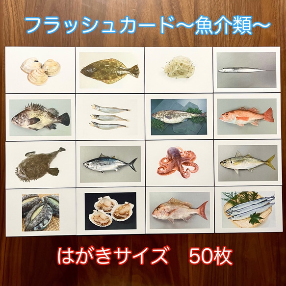 右脳が目覚める‼︎フラッシュカード　魚介類50枚