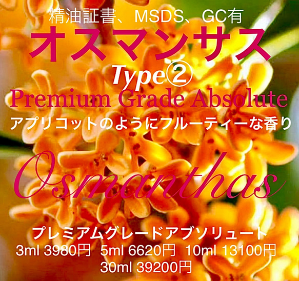 【高粘性蜂蜜＆アプリコットの様な香り】オスマンサスアブソリュートType②10ml