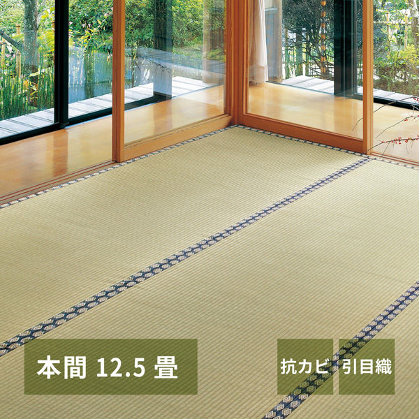 【玄関渡し】 萩原 い草カーペット　谷川（たにがわ）　本間12.5畳  477×477cm（直送品）