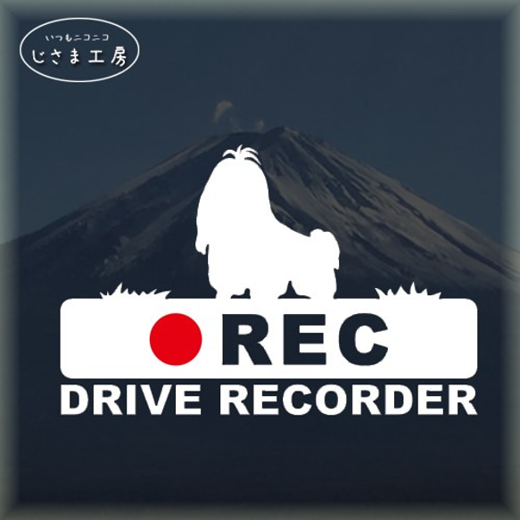 ちょんまげシーズーの白シルエットステッカー後方注意!!『DRIVE　RECORDER』