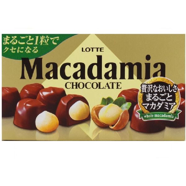 ロッテ マカダミアチョコレート  4903333172580 9ツブ×80個（直送品）