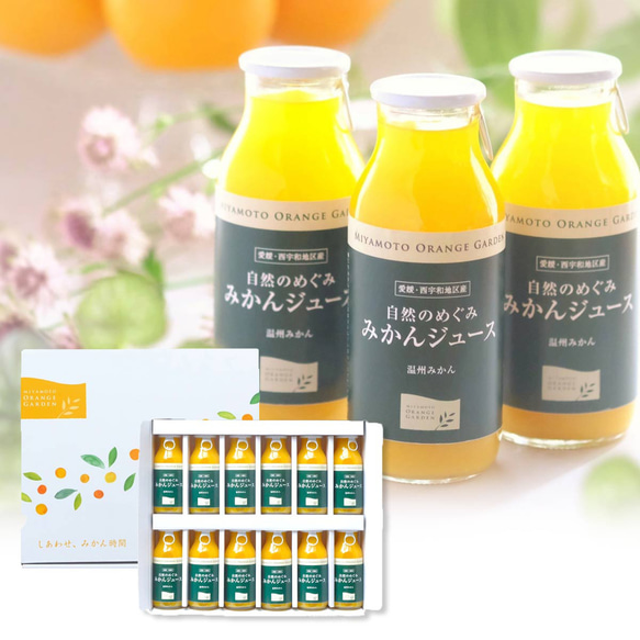 自然のめぐみ みかんジュース 小瓶180ml×12本 贈答箱入り