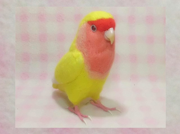 リアルサイズ♪ コザクラインコ ルチノー（濃赤目）羊毛フェルト　受注作成　うちの子オーダー可能　メモリアル　羊毛インコ