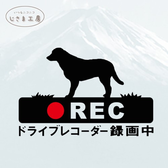 ラブラドールレトリバーの黒色シルエットステッカー煽り運転防止!!ドライブレコーダー録画中