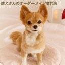 【うちの子オーダー】等身大　リアル　愛犬さんのオーダー　羊毛フェルトオーダー　犬　置物　オーダーメイド犬　メモリアル　ペットロス　チワワ　トイプードル　ダックス　ポメラニアン　柴犬　パピヨン