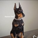 羊毛フェルト　ハンドメイド　ドーベルマン　警察犬　番犬　犬　hanmifelt