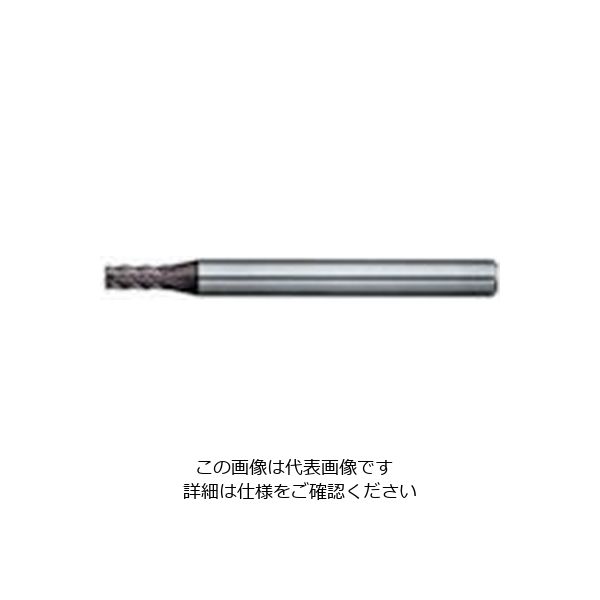 日進工具 NS 高硬度用ラジアスEM Φ3 MHDH445R