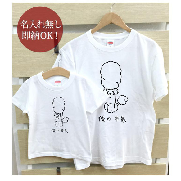 俺の本気 犬 トイプードル 親子ペアTシャツセット おもしろTシャツ 綿100% 選べるカラー7色 即納