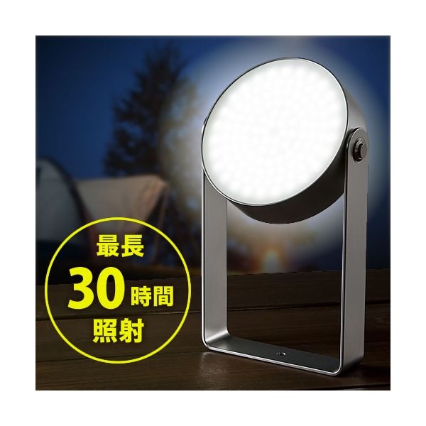 サンワダイレクト LEDライト 800-LED009 1個（直送品）