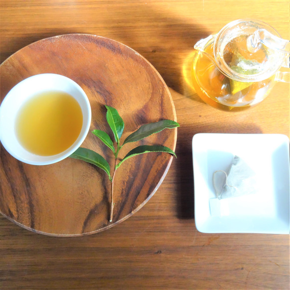 【送料無料】TeaBag浅炒りほうじ茶 緑茶の風味を残したこだわりほうじ茶【手炒りほうじ茶　琥珀】Mサイズ ３ｇ×２２コ