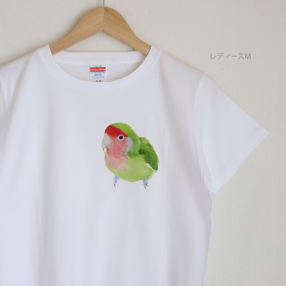 p-jet　コザクラインコ  Tシャツ  /  鳥 インコ