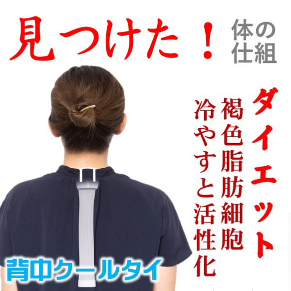 見るけた！自立 交換 神経 体の仕組 細胞で痩せる ダイエット器具 脂肪燃焼 プヨプヨ脂肪 中性脂肪 「背中クールタイ」