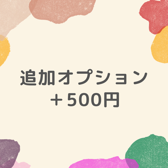 追加オプション500円