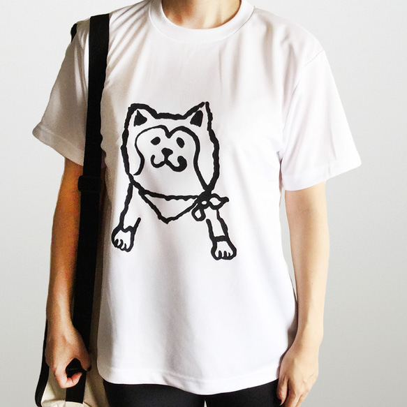 秋田犬のリラックスドライTシャツ