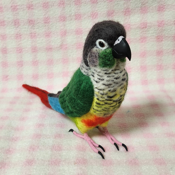 ほぼライフサイズ　ホオミドリアカオウロコインコ ver.2  Green-cheeked Conure 羊毛 受注作成