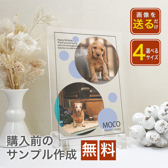 【 アクリルフォトパネル A62 】ペット 犬 dog わんちゃん いぬ 猫  ねこcat ねこちゃん ドッグインテリア