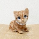 マンチカンの子猫＊羊毛フェルト＊猫＊子猫