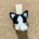 ねこちゃんのピンチ型マグネット　クロシロ